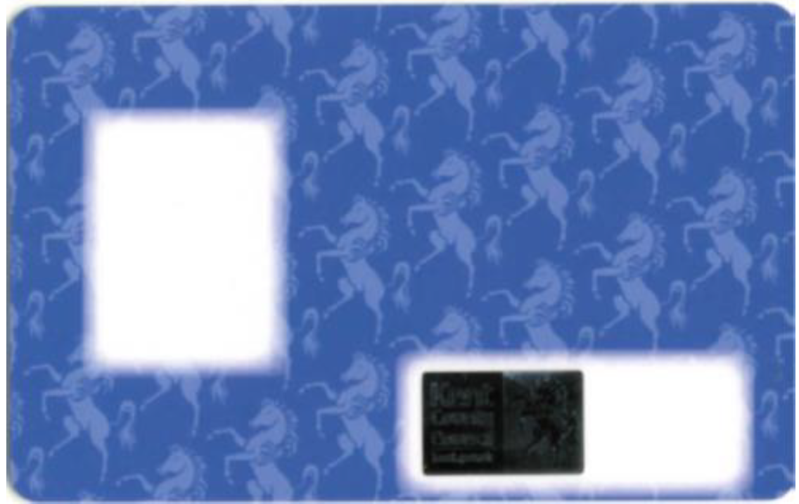 Sample design of the 2025 blue free school travel pass